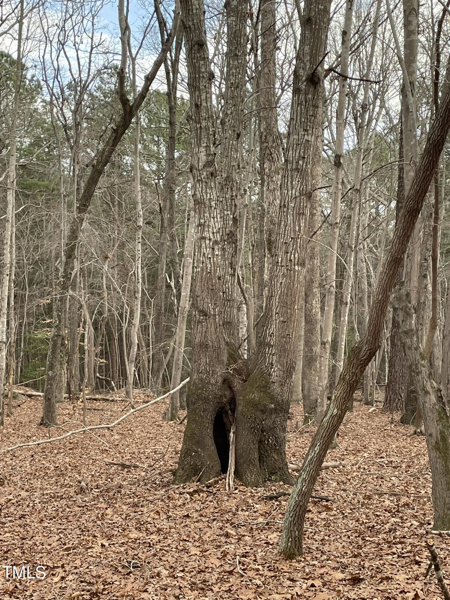 130 Eagle'S Rest Drive