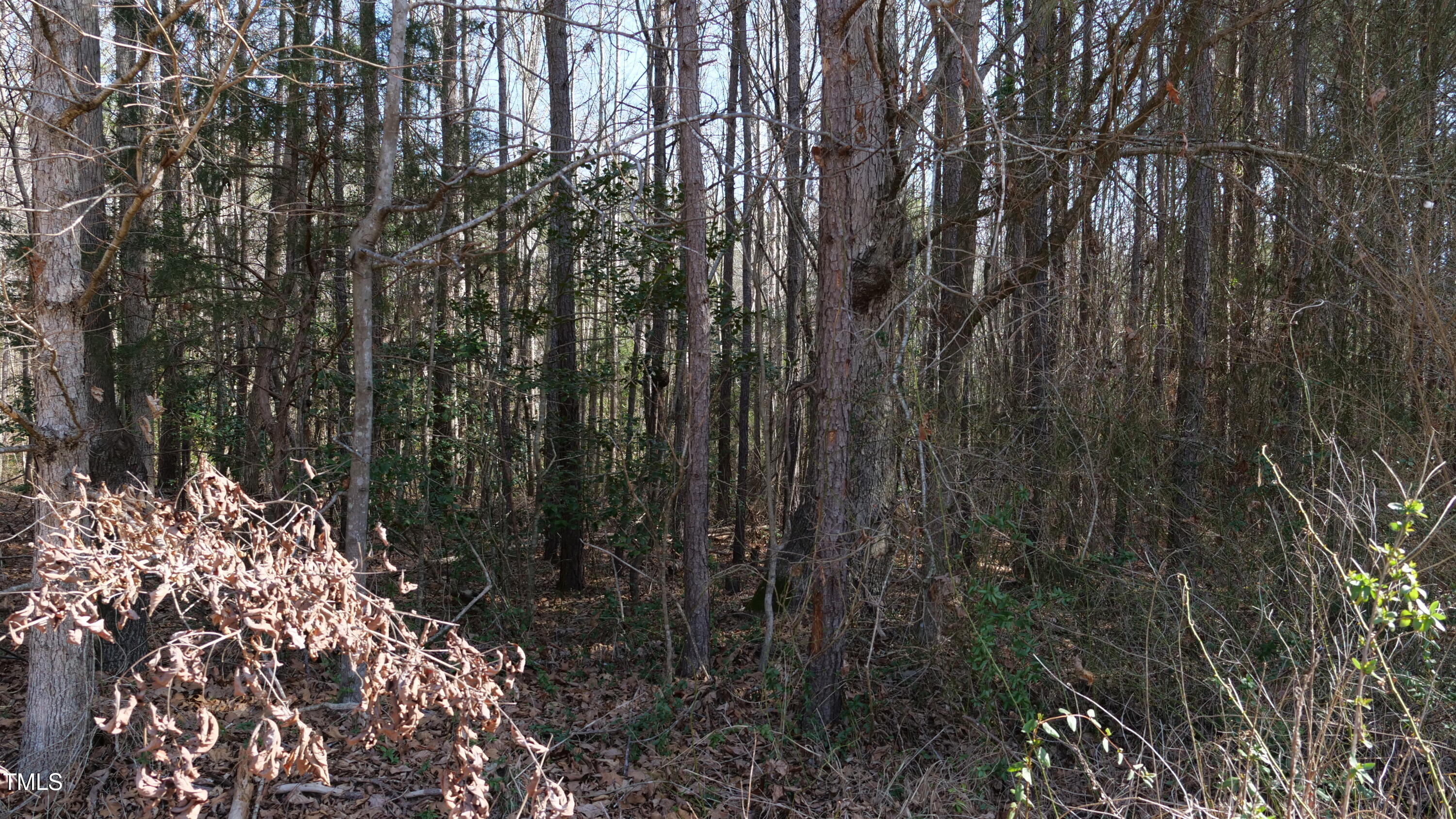 0 Beamon Hunt Road