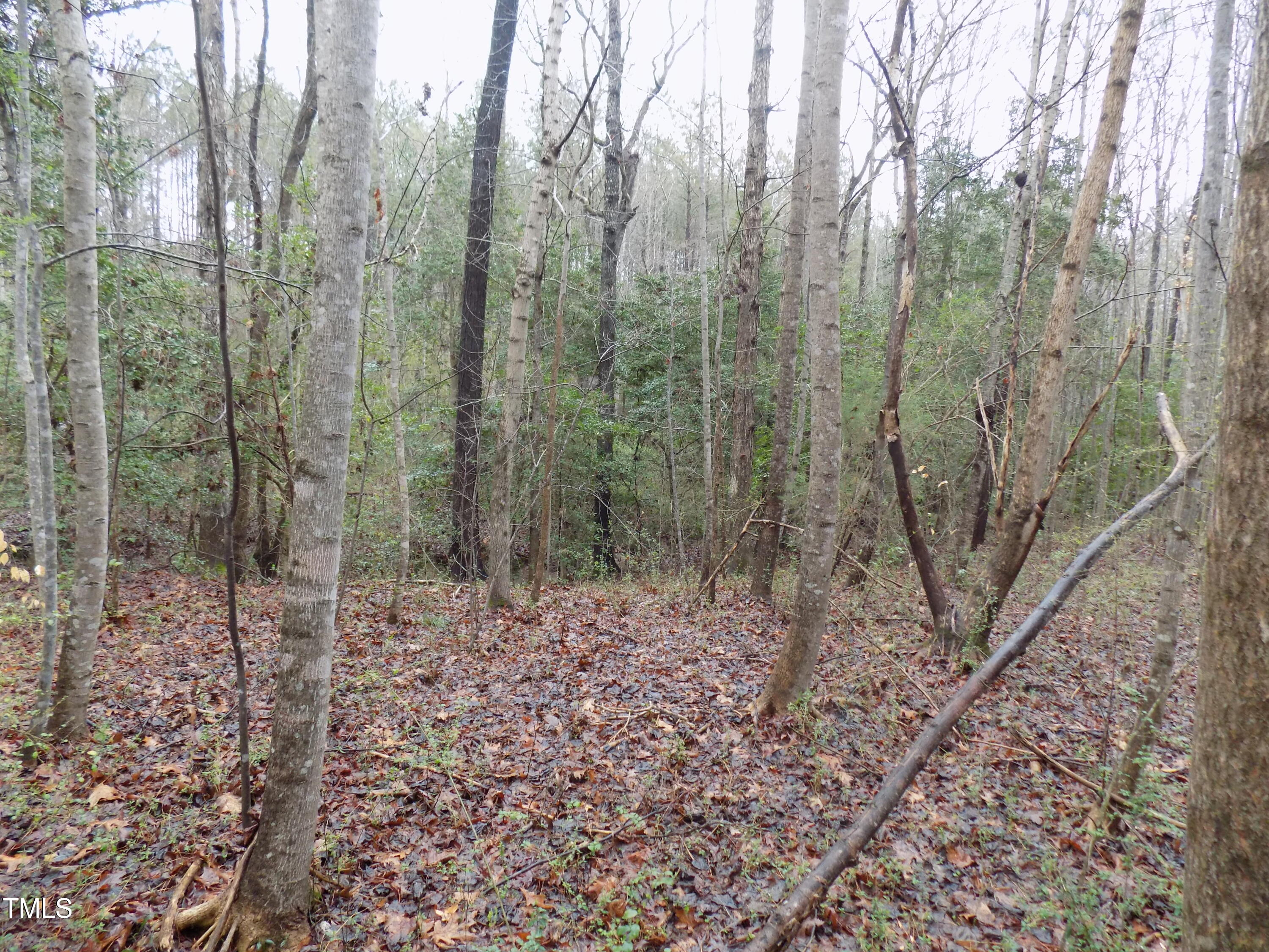 0 Beamon Hunt Road