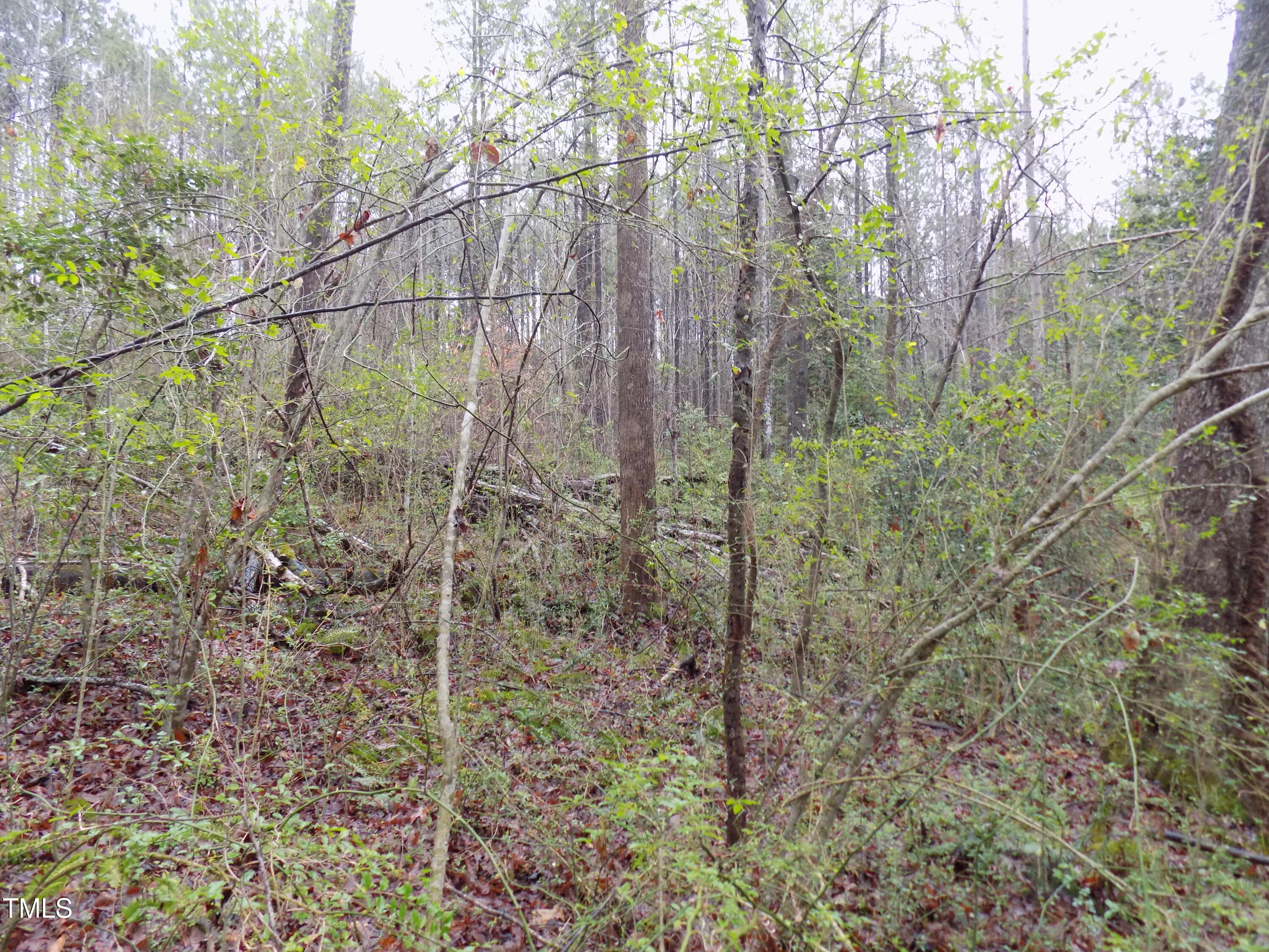 0 Beamon Hunt Road