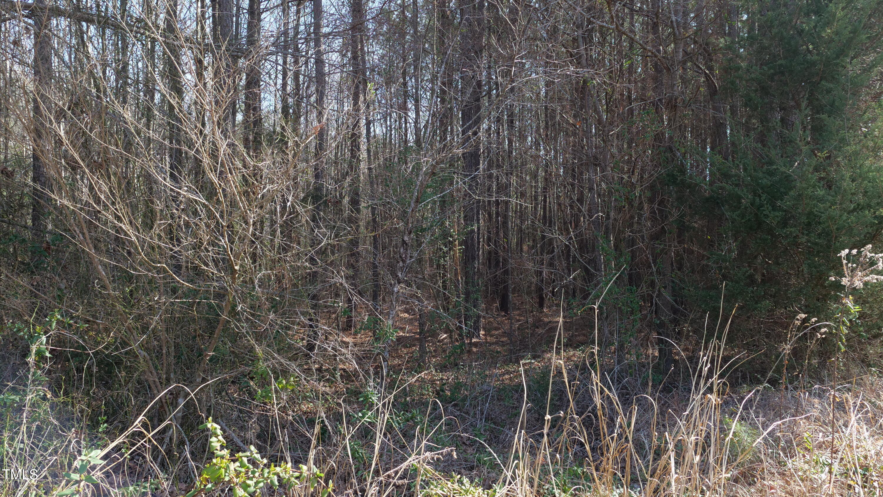 0 Beamon Hunt Road