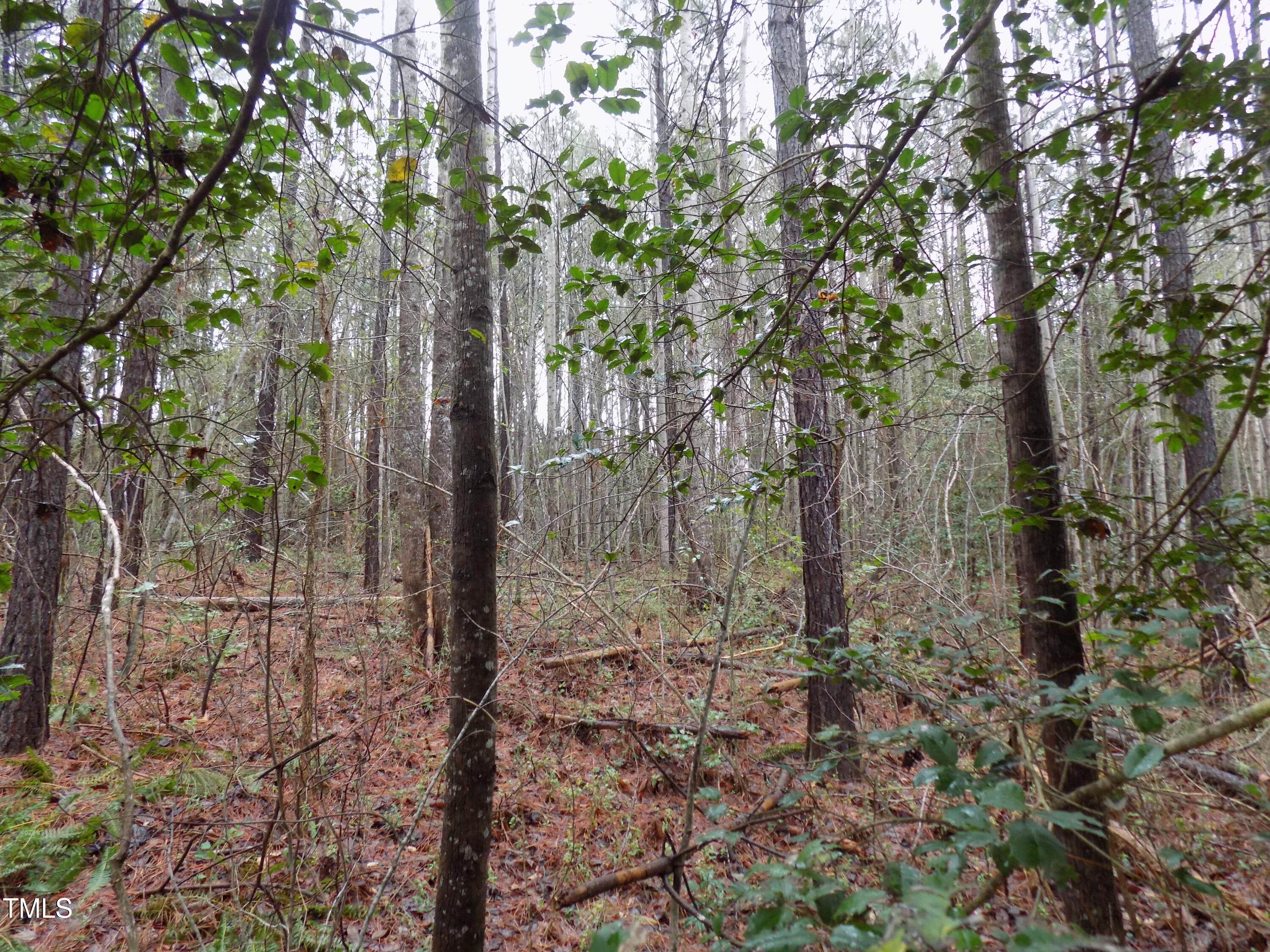 0 Beamon Hunt Road
