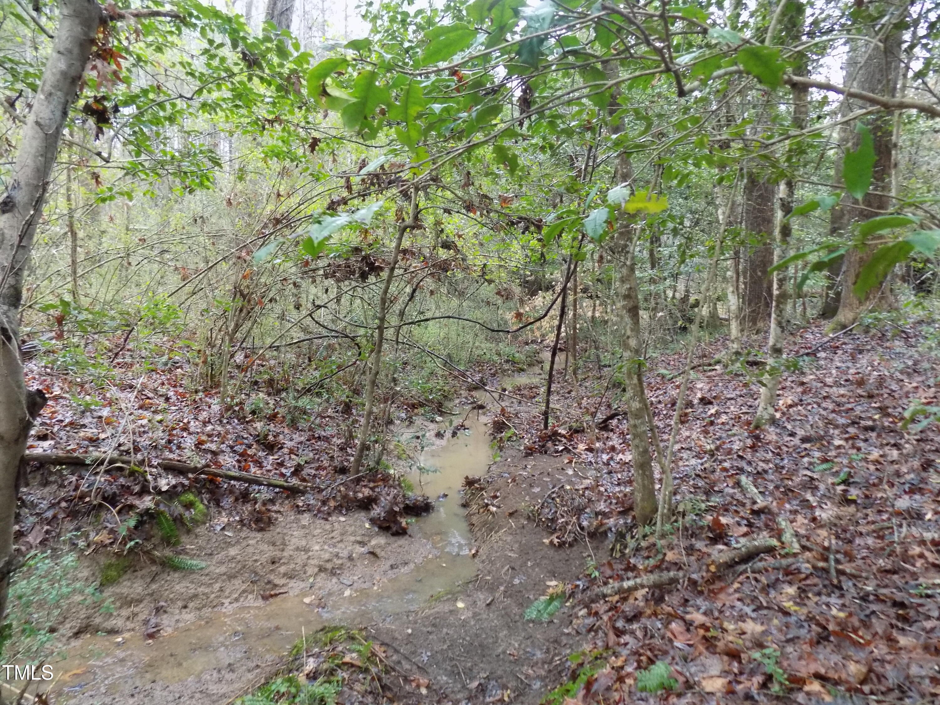 0 Beamon Hunt Road