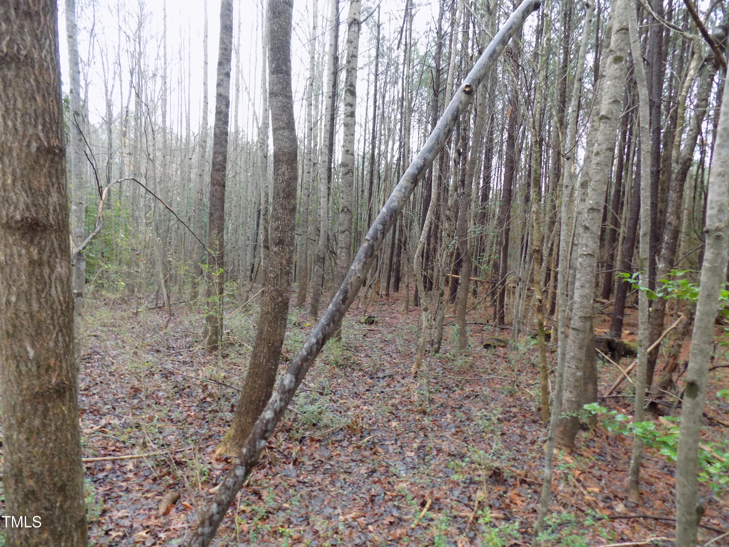 0 Beamon Hunt Road