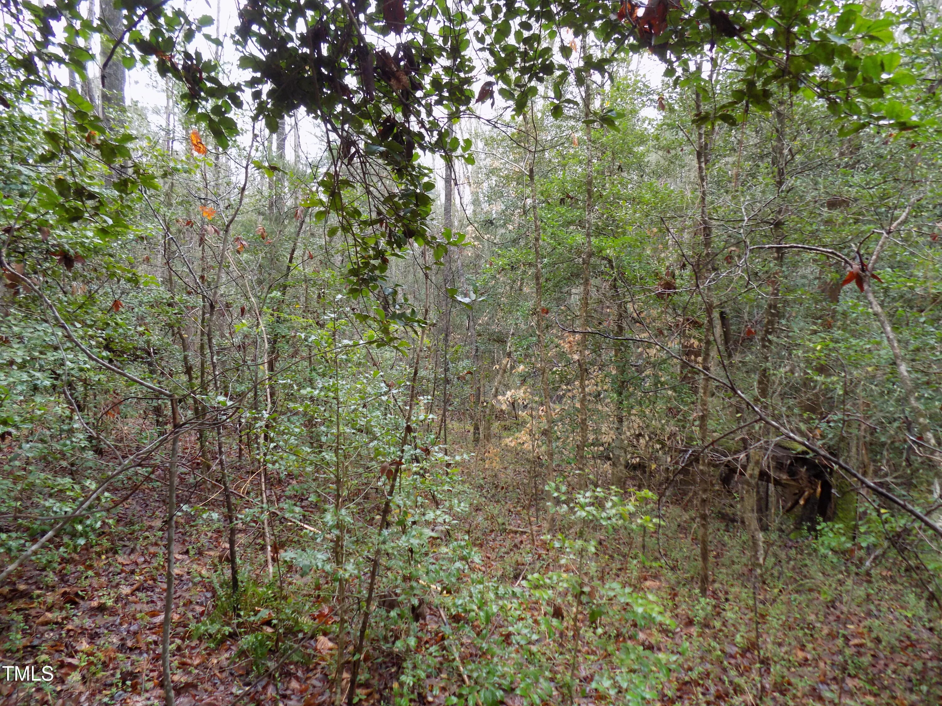 0 Beamon Hunt Road