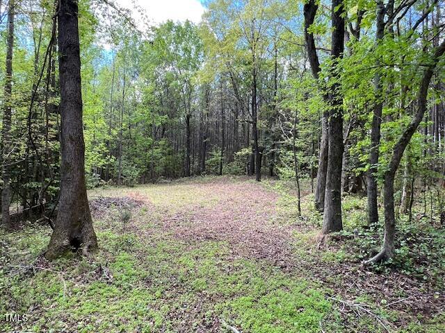 Lot 2e Bent Tree Lane