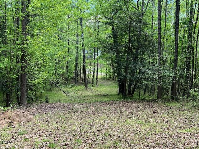 Lot 2e Bent Tree Lane