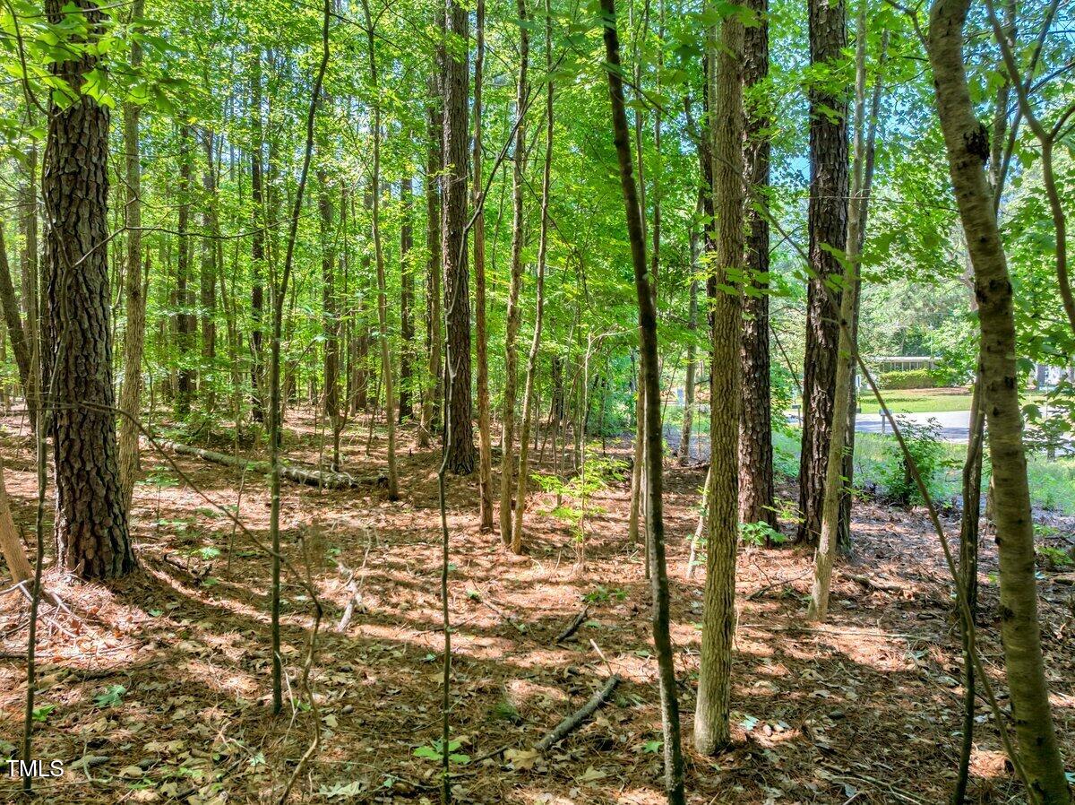 Lot 10 Green Valley Dr.