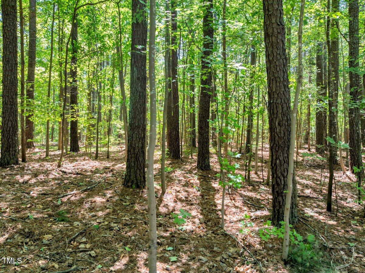 Lot 10 Green Valley Dr.