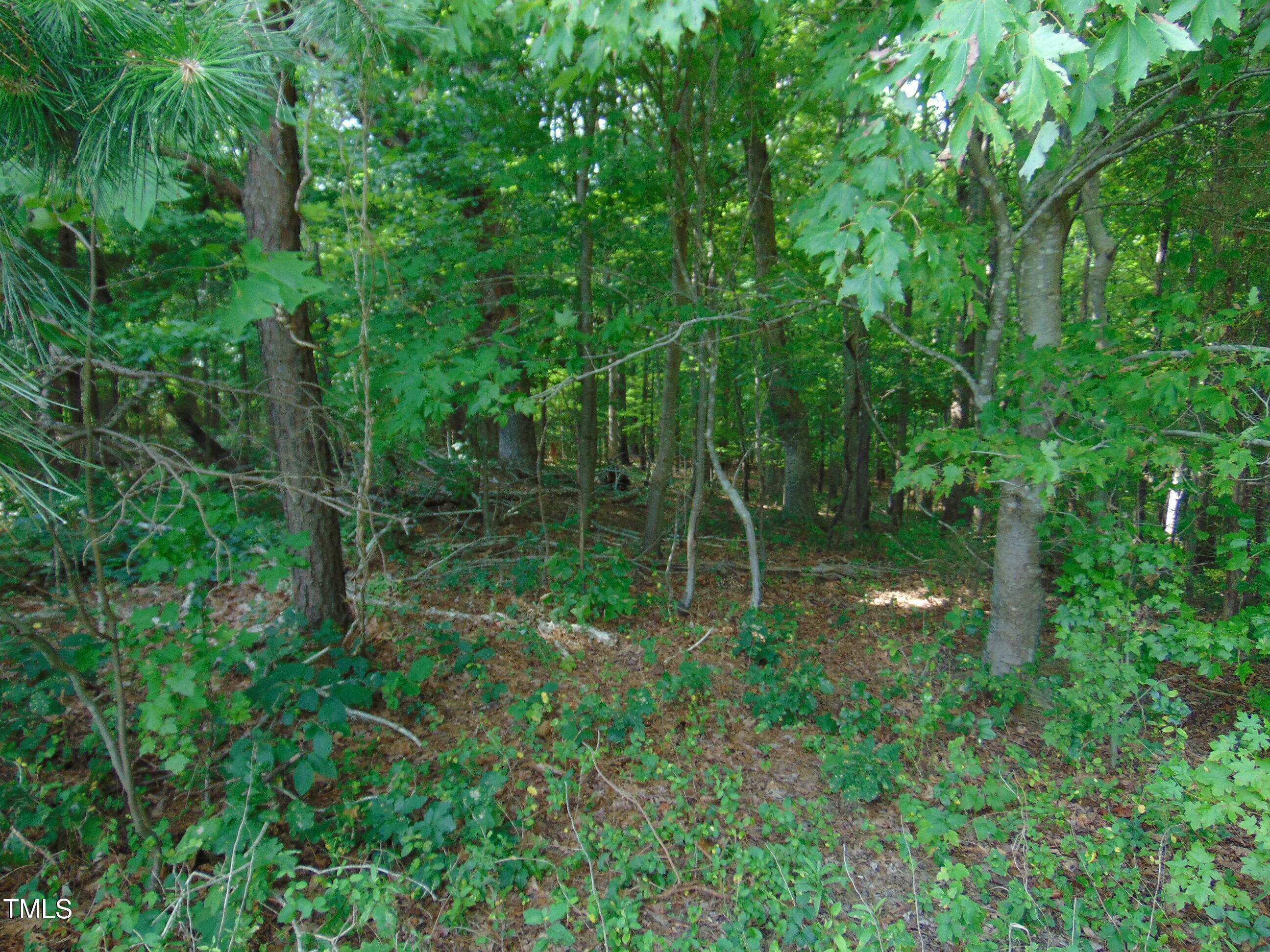 00 Epps Fork Road