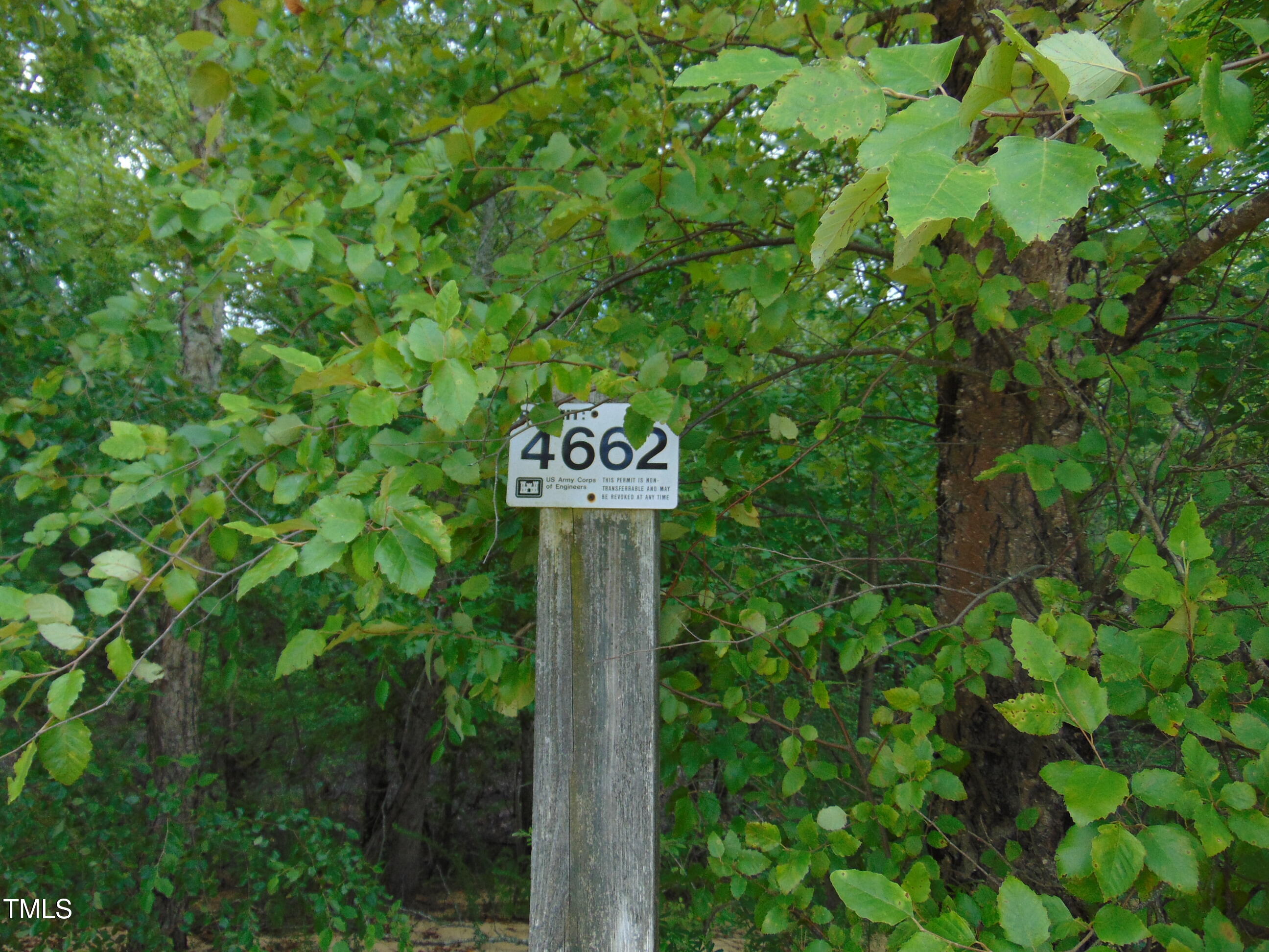 00 Epps Fork Road