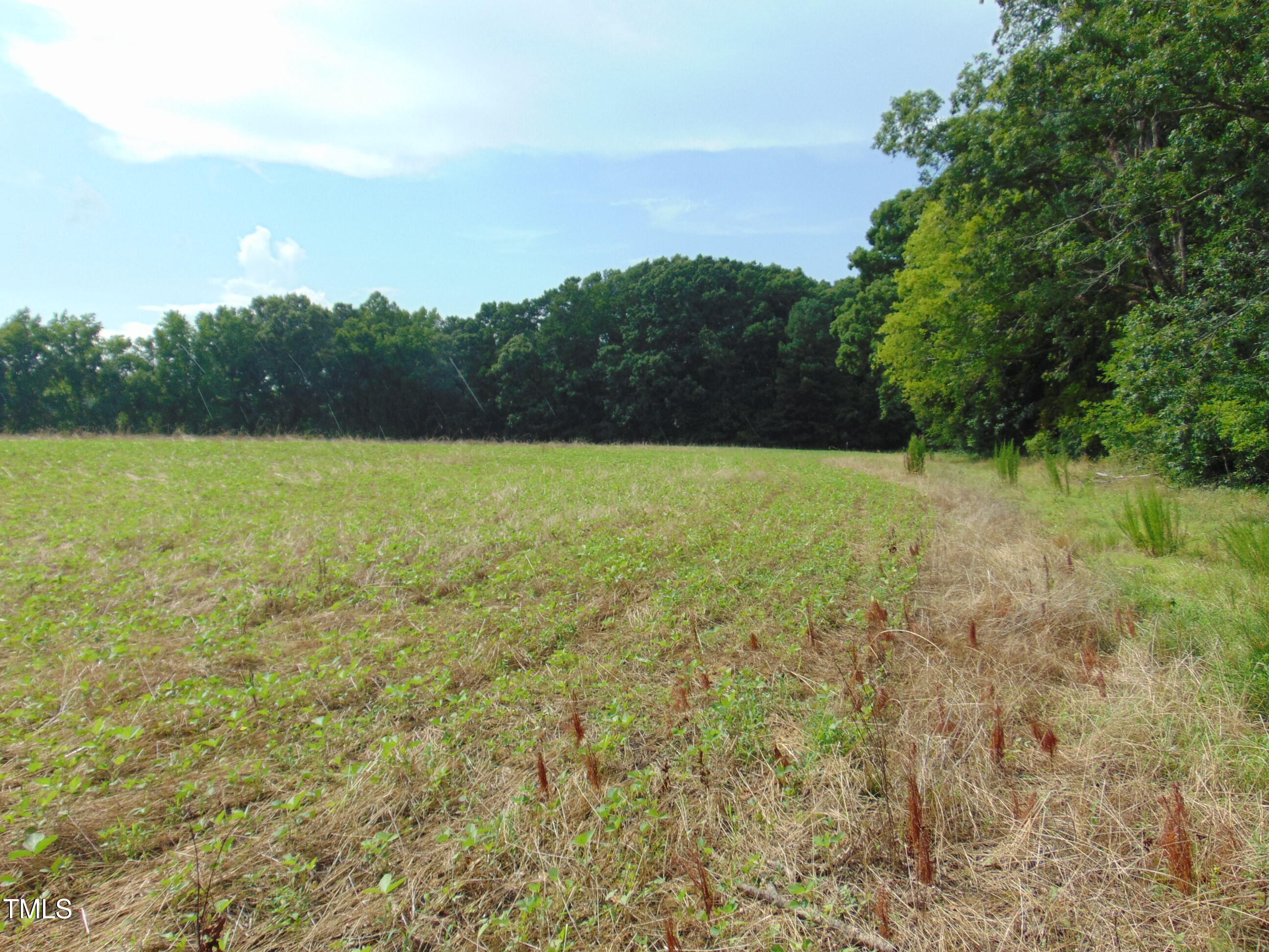 00 Epps Fork Road