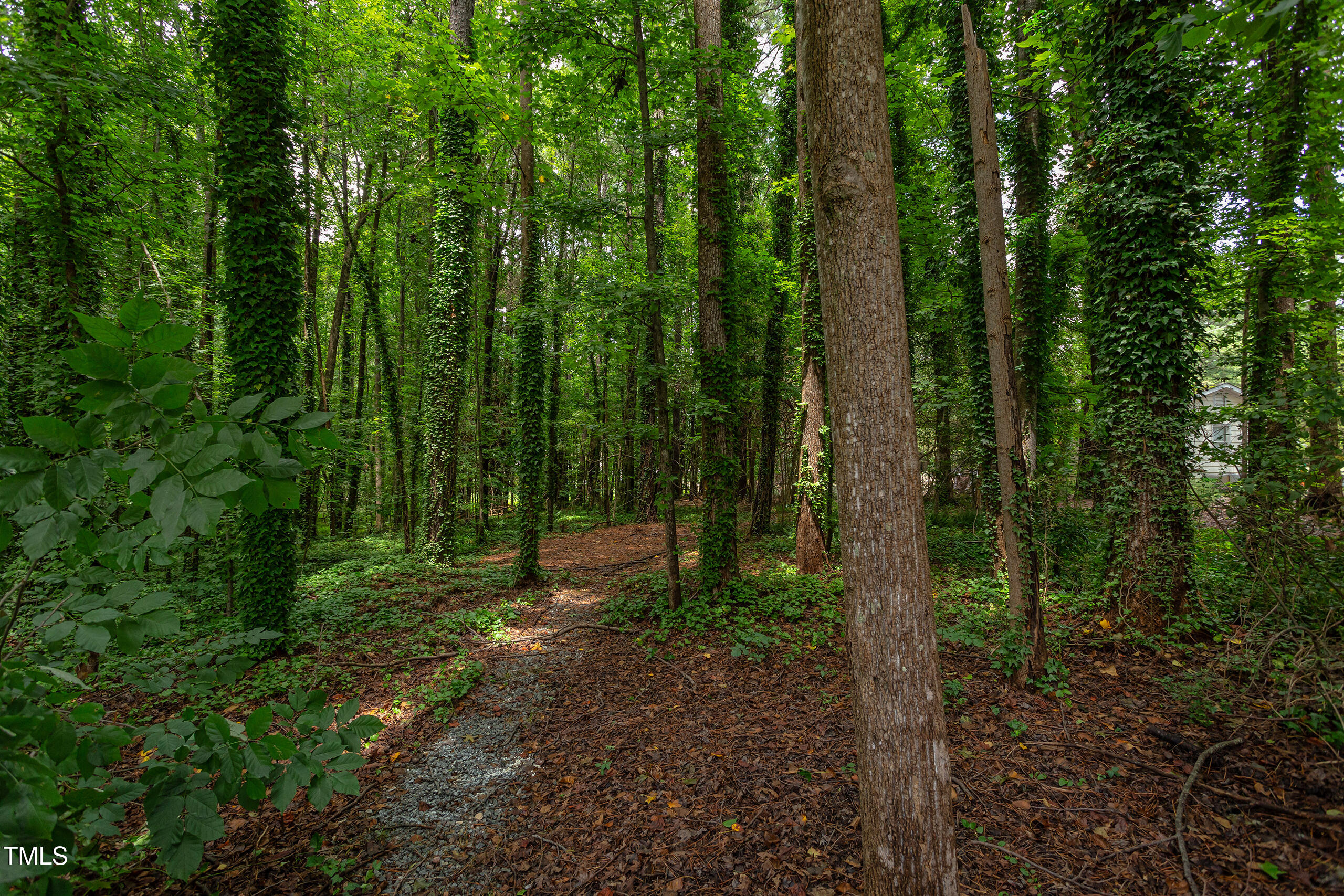 4212 Sprucedale Drive