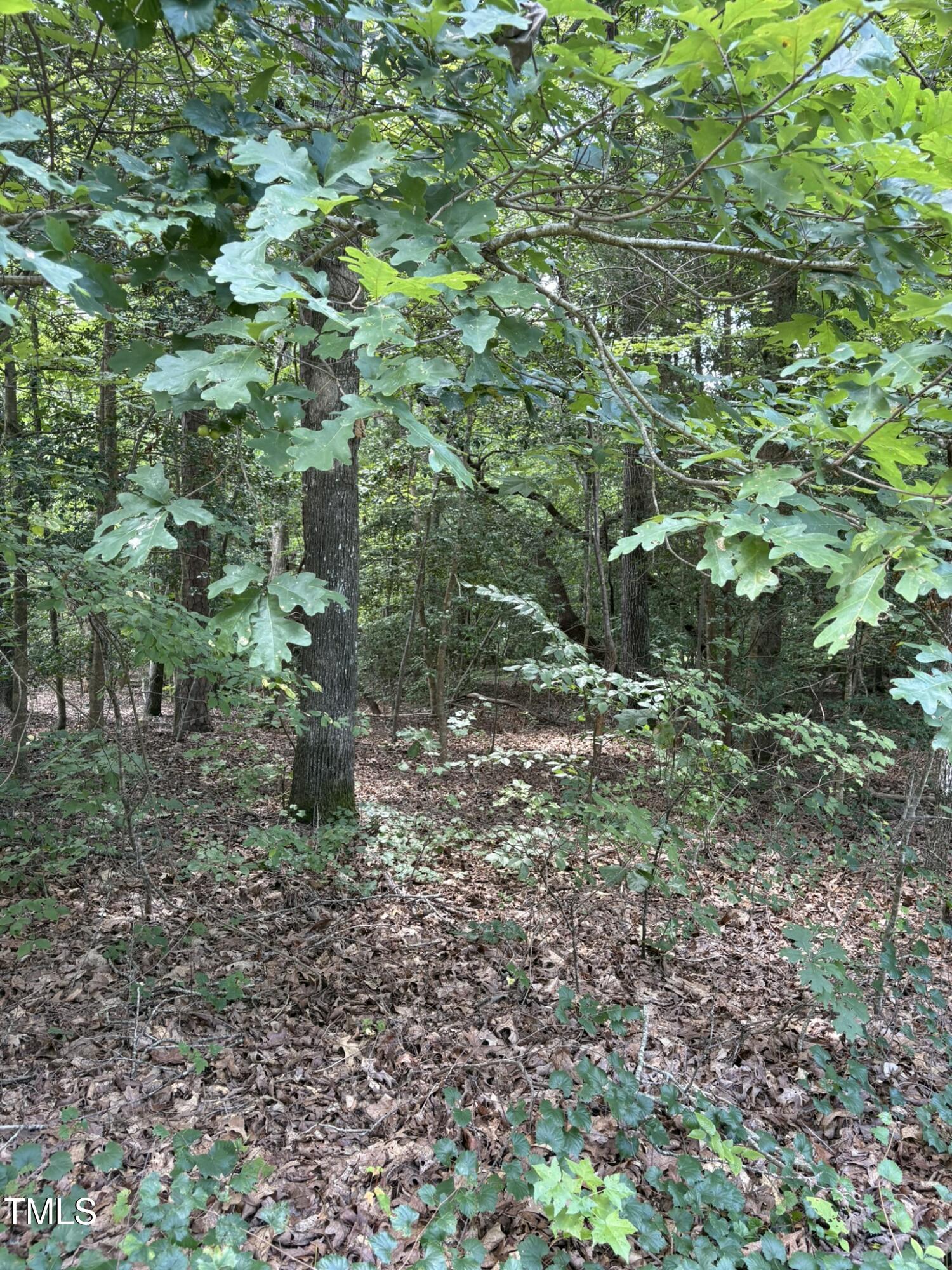 Lot 53 Tanglewood Drive