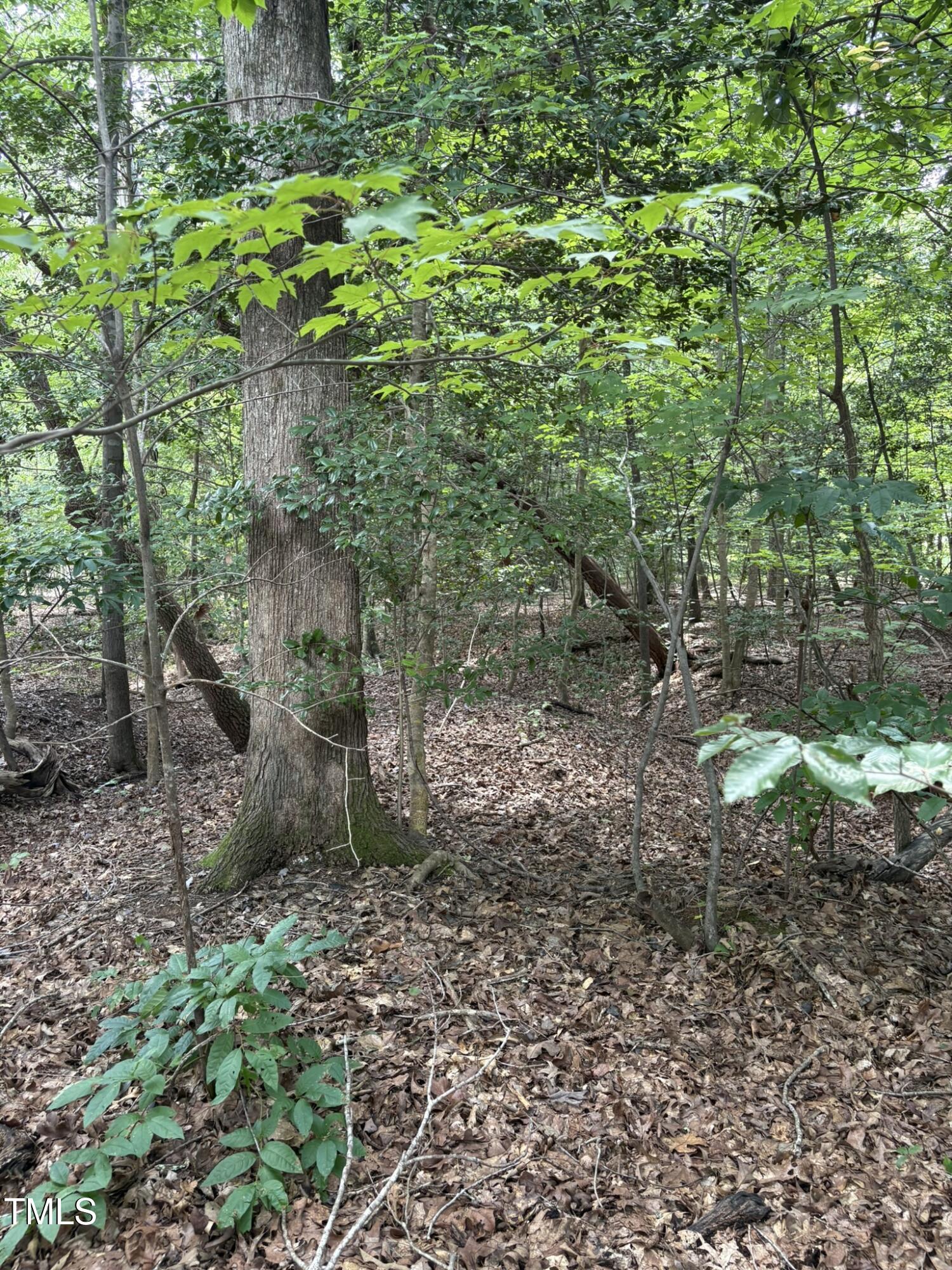 Lot 53 Tanglewood Drive