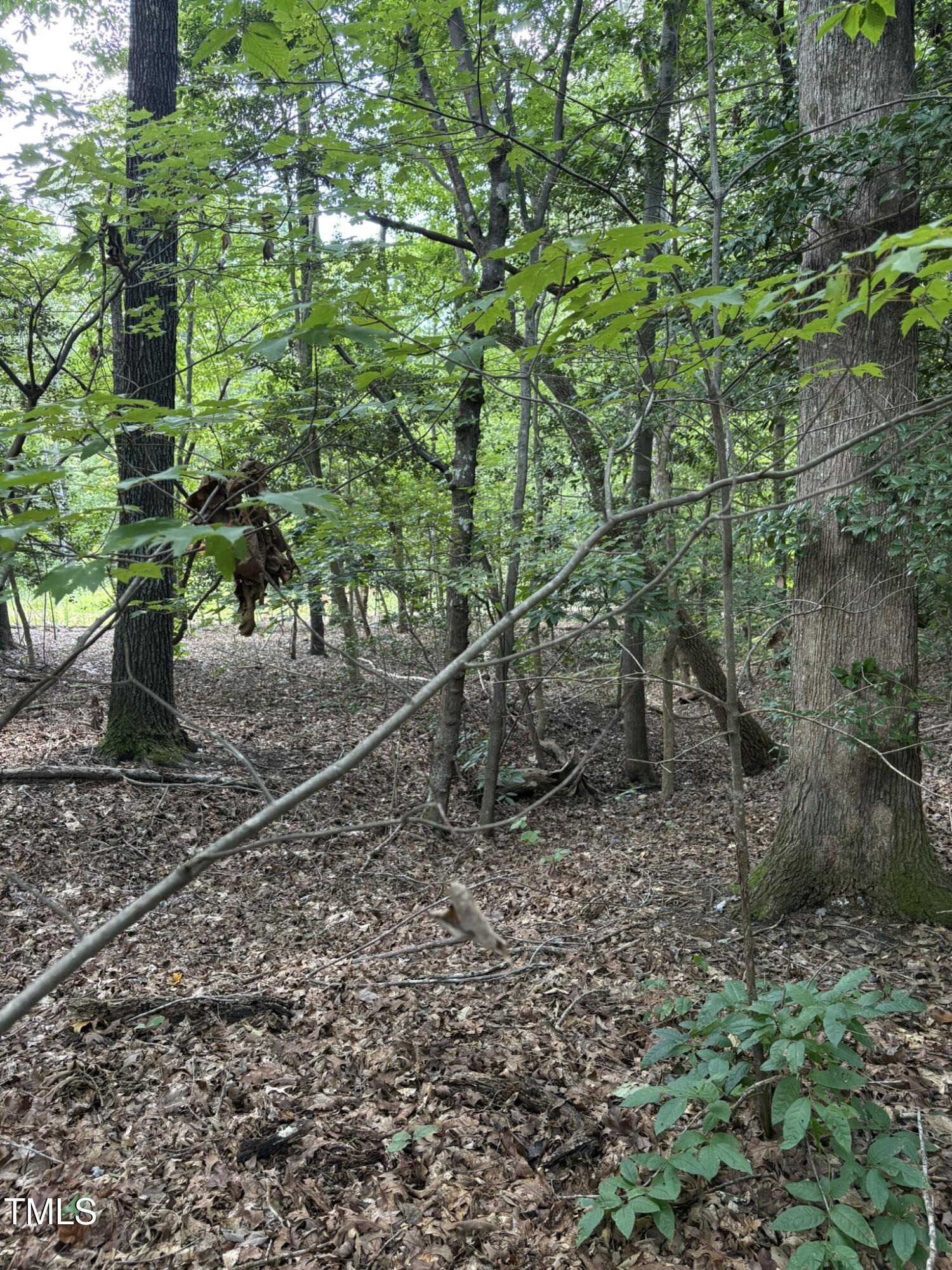 Lot 53 Tanglewood Drive