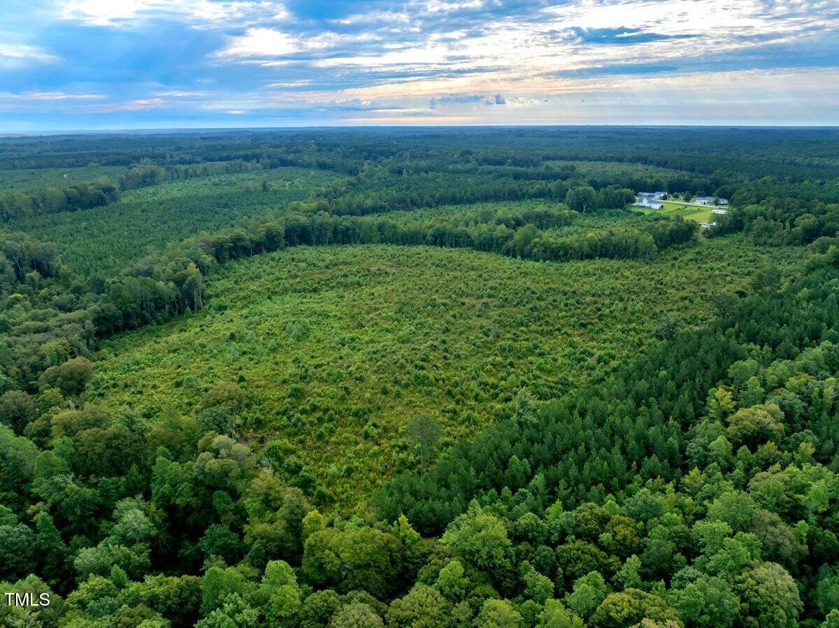 7 & 7a Richardson Road