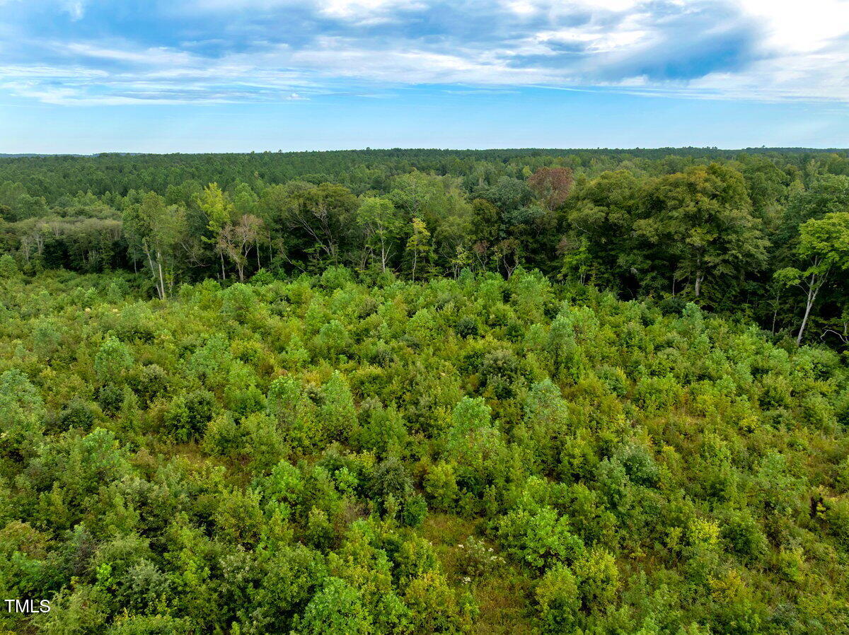 7 & 7a Richardson Road