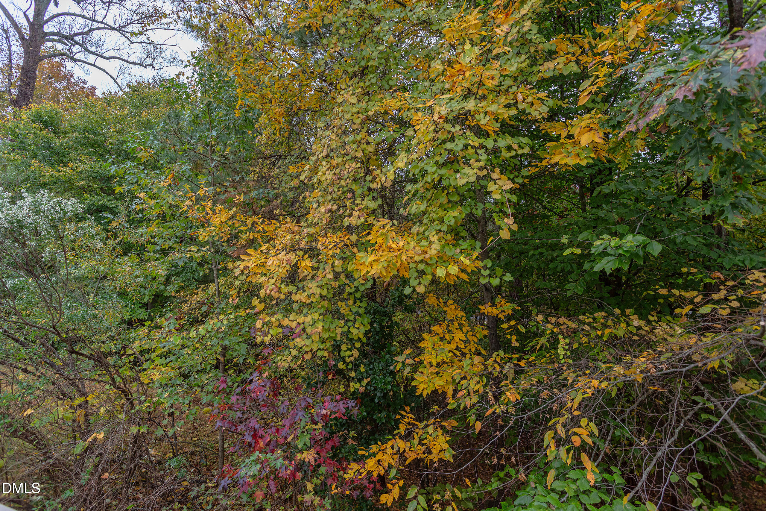 5620 Berry Creek Circle