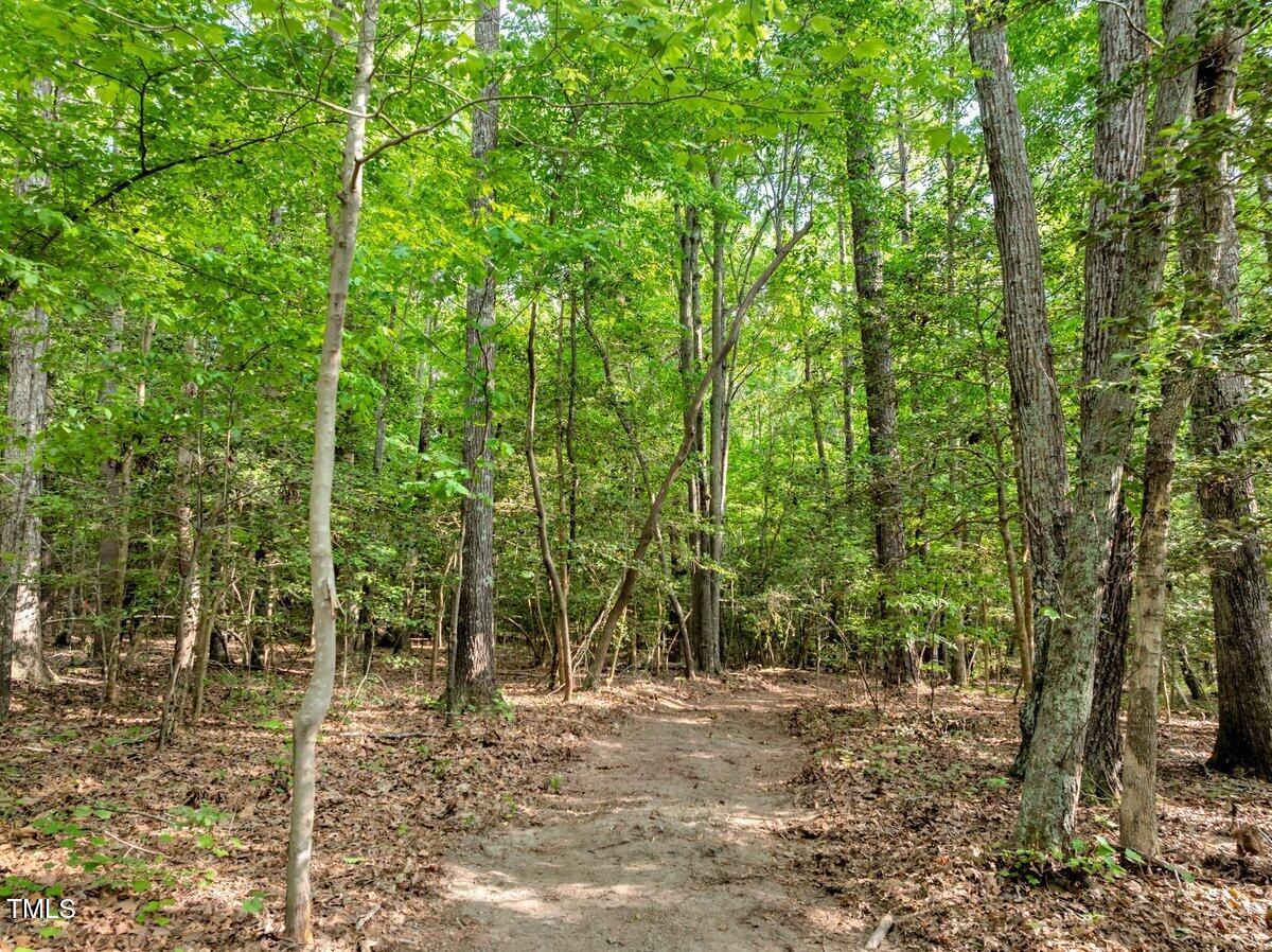 1.95 Acres Buchanan Road