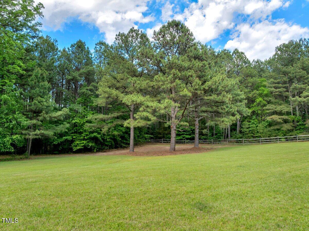 1.95 Acres Buchanan Road