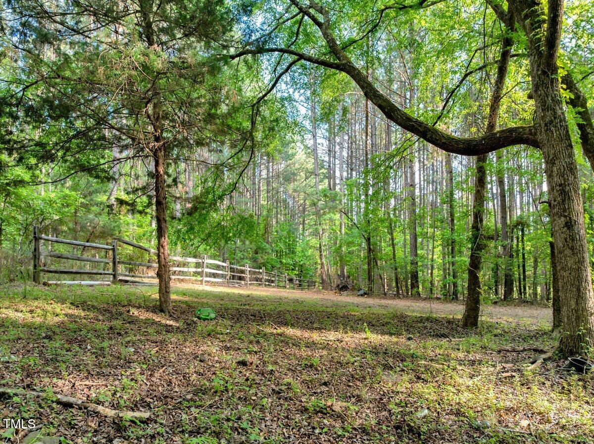 1.95 Acres Buchanan Road