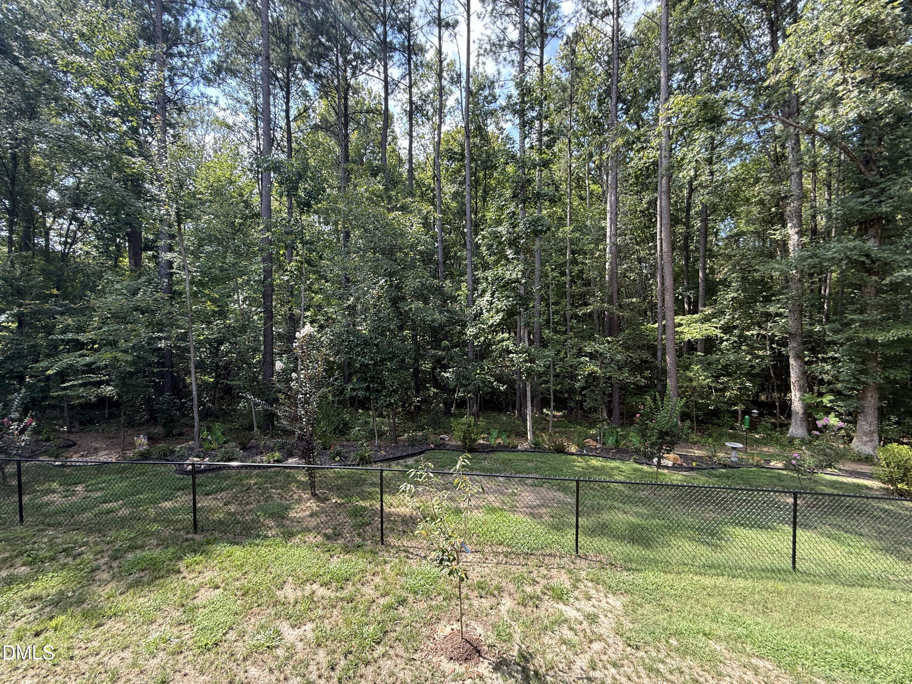 567 Dabney Woods Lane