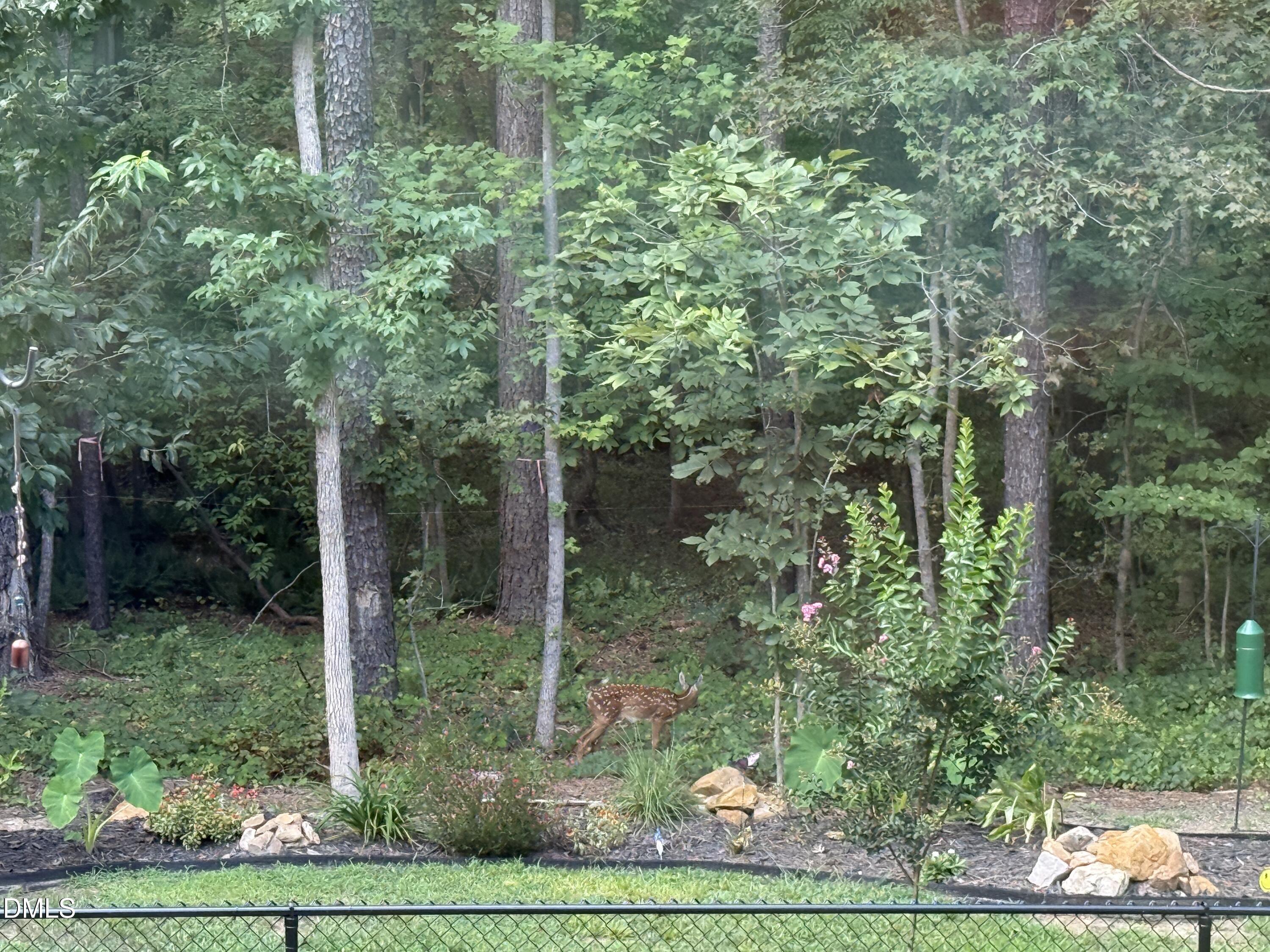 567 Dabney Woods Lane