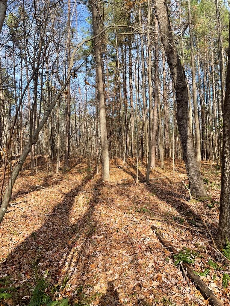 Acreage Mt. Ararat Rd.