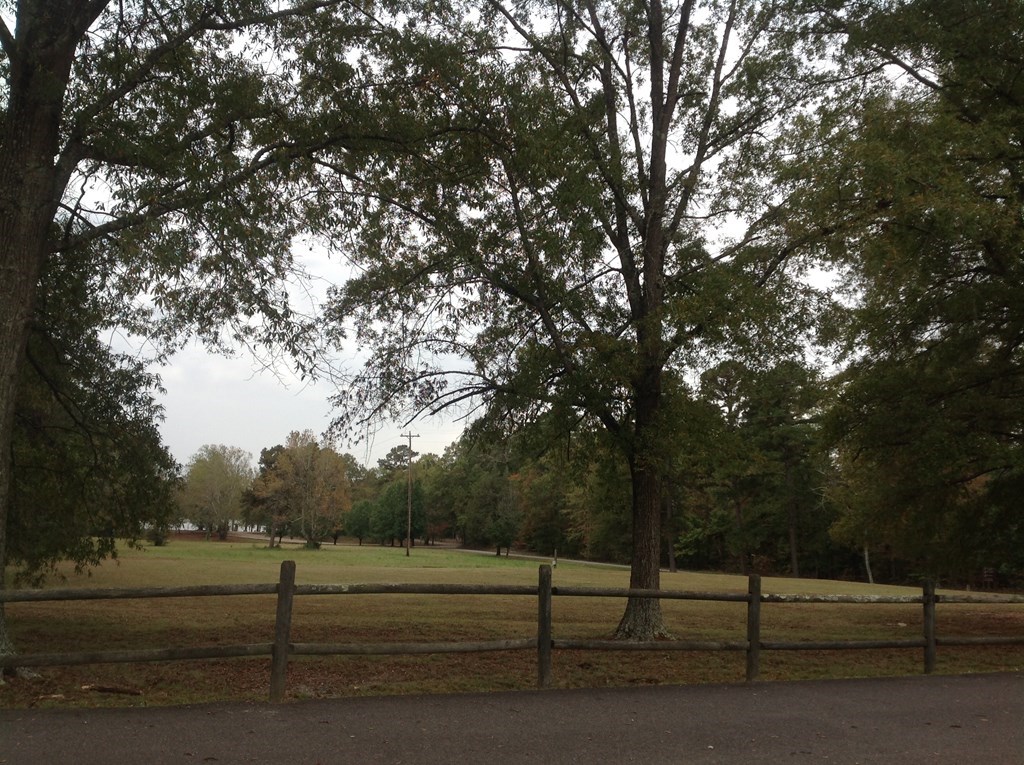 Acreage Mt. Ararat Rd.