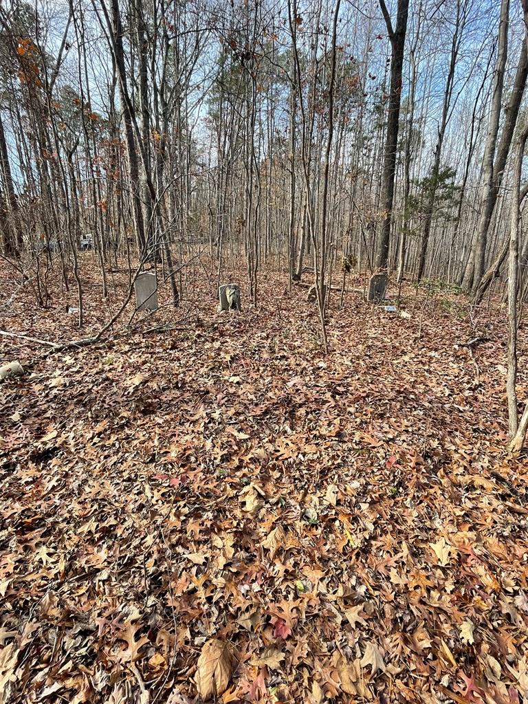 Acreage Mt. Ararat Rd.