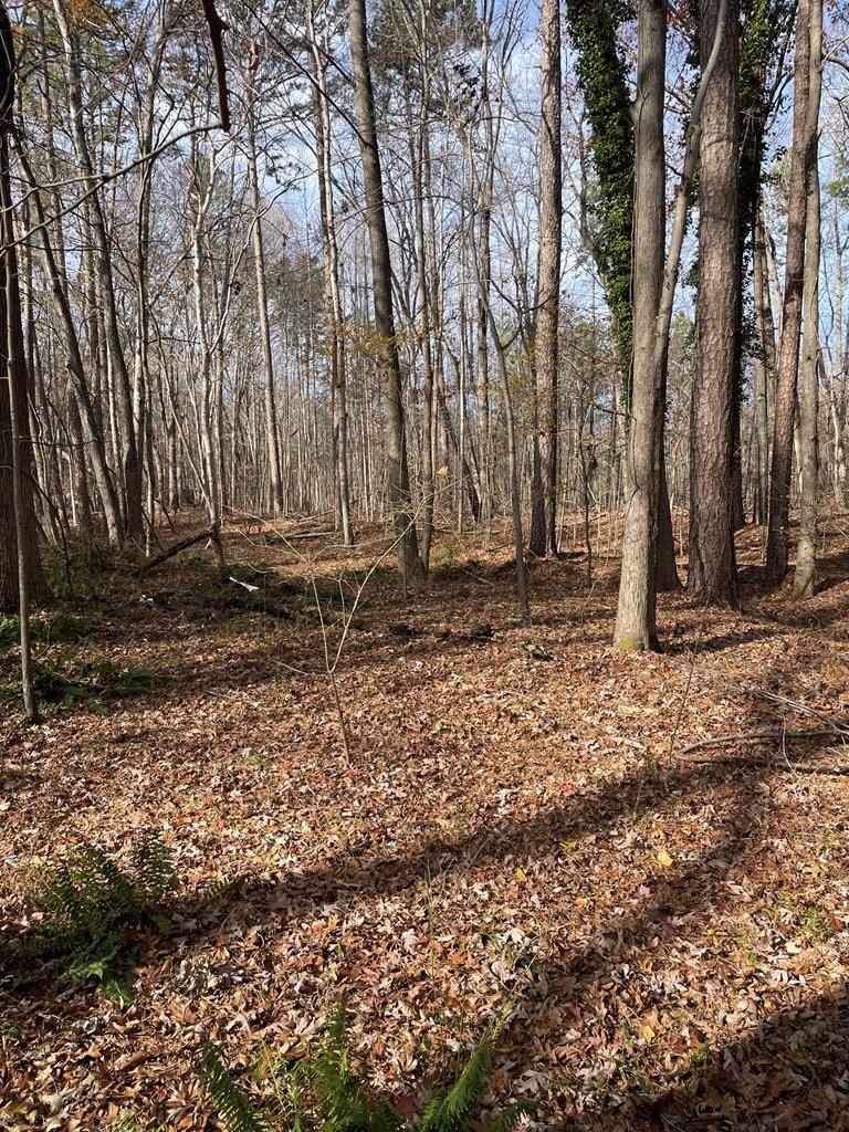 Acreage Mt. Ararat Rd.