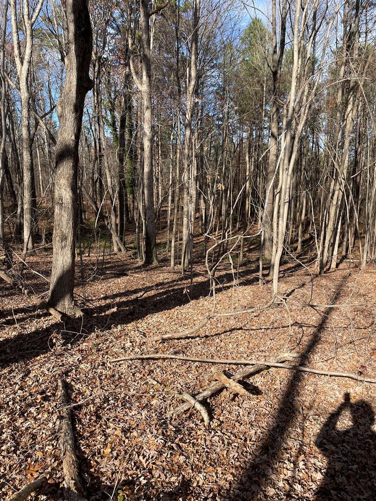 Acreage Mt. Ararat Rd.