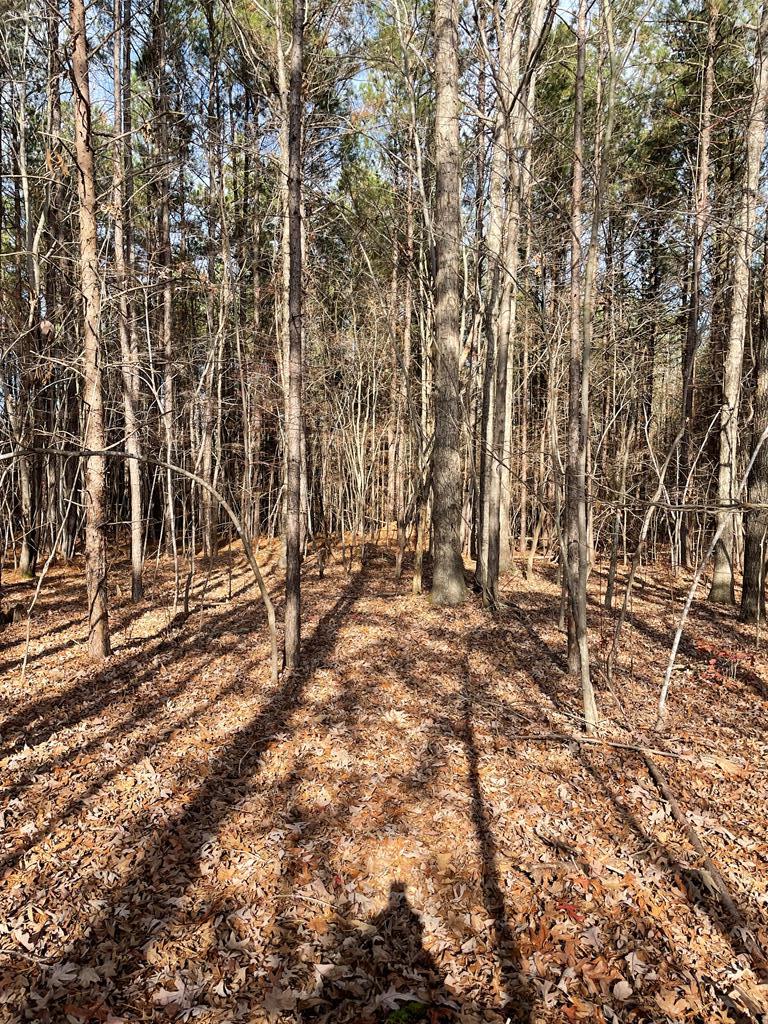 Acreage Mt. Ararat Rd.