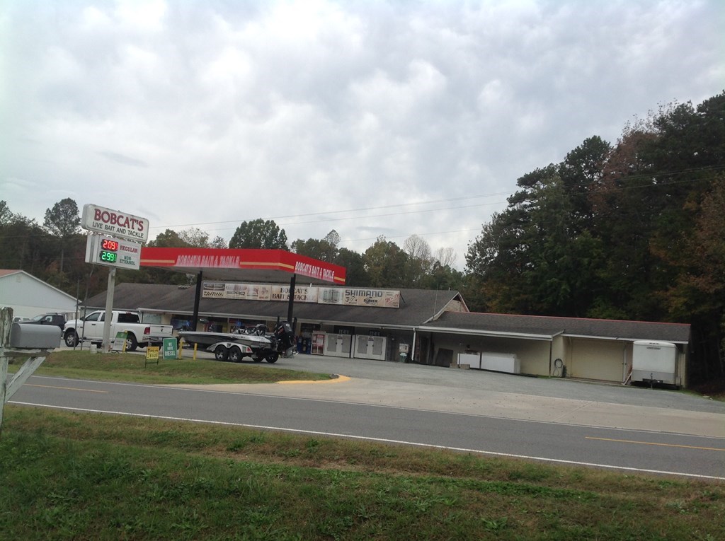 Acreage Mt. Ararat Rd.