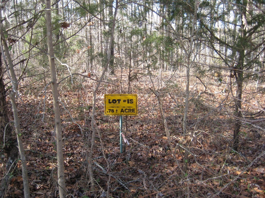 15-15BR Palomino Road