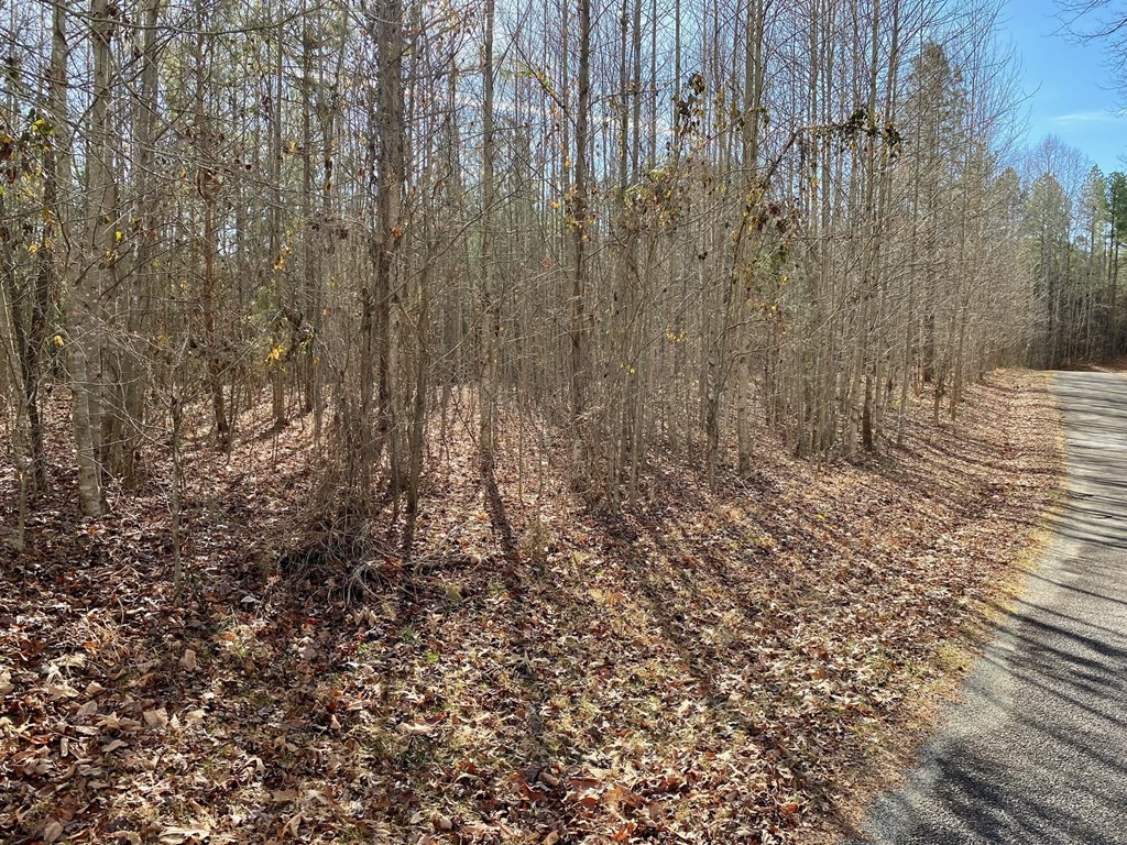 15-15BR Palomino Road