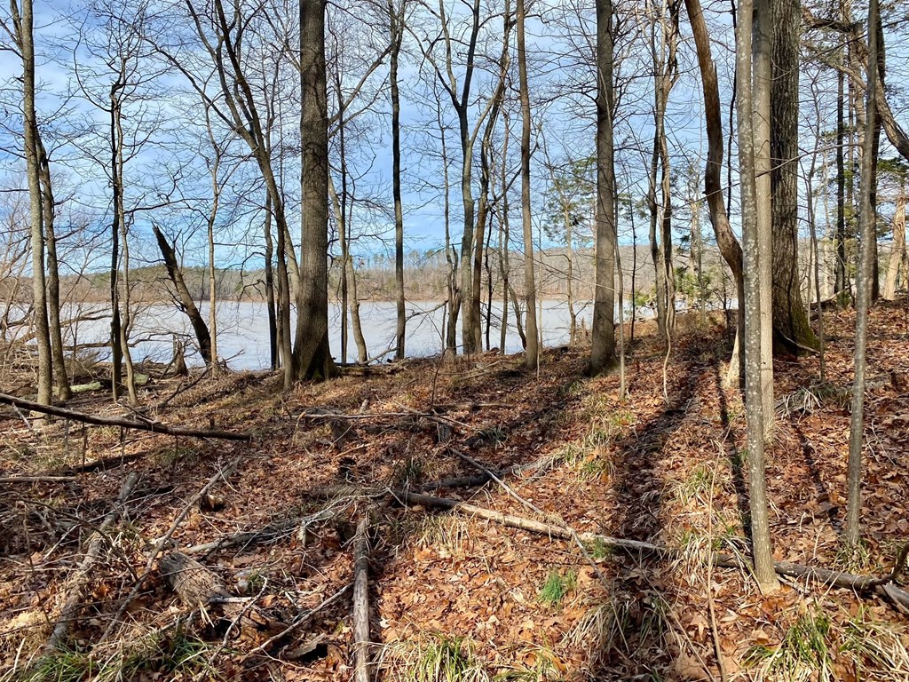 15-15BR Palomino Road