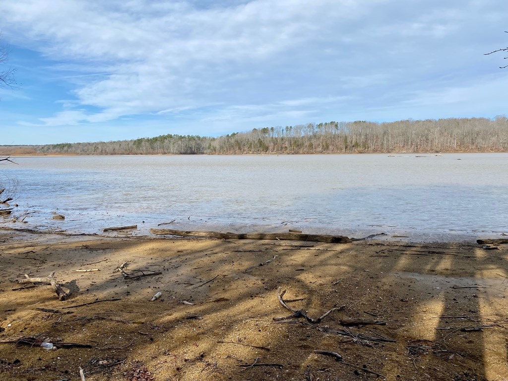 15-15BR Palomino Road