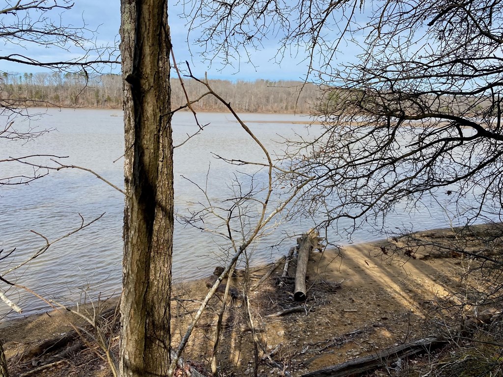 15-15BR Palomino Road