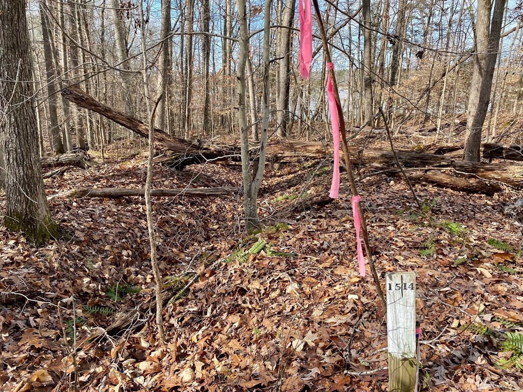 15-15BR Palomino Road