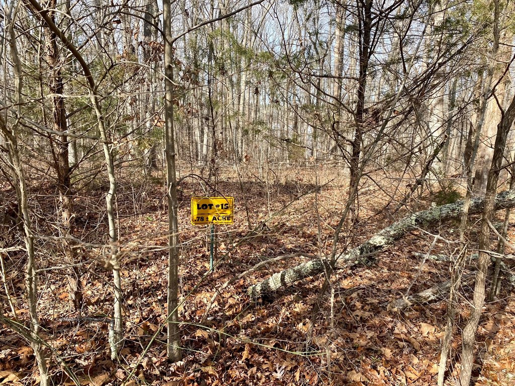 15-15BR Palomino Road