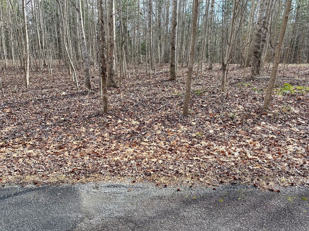 15-15BR Palomino Road