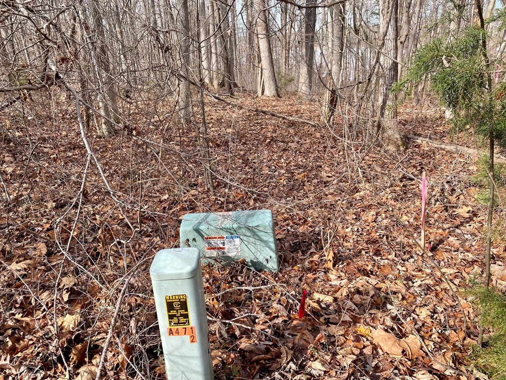 15-15BR Palomino Road