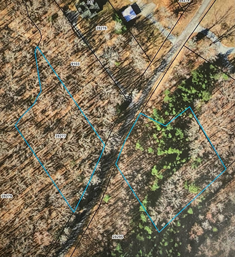 15-15BR Palomino Road