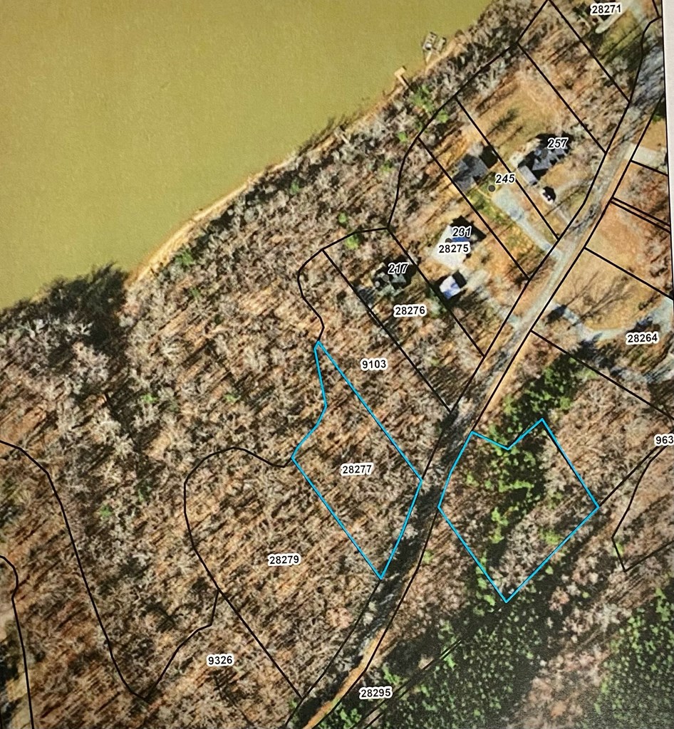 15-15BR Palomino Road