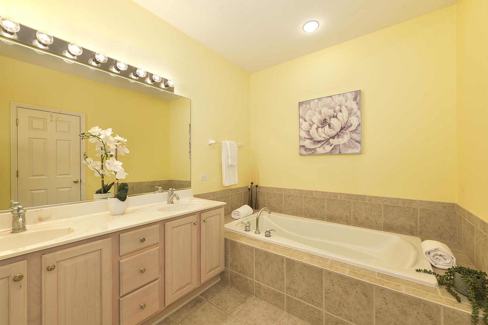 516 Stone Canyon Circle
