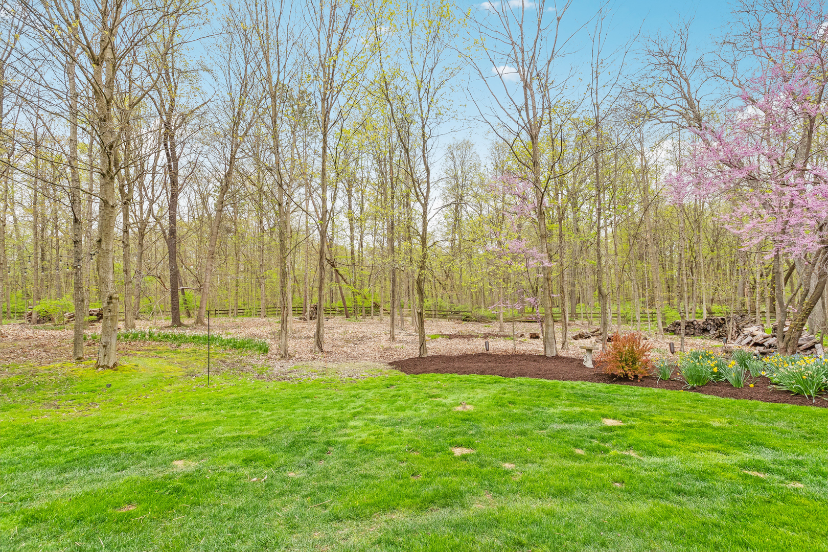 831 Alberosky Way