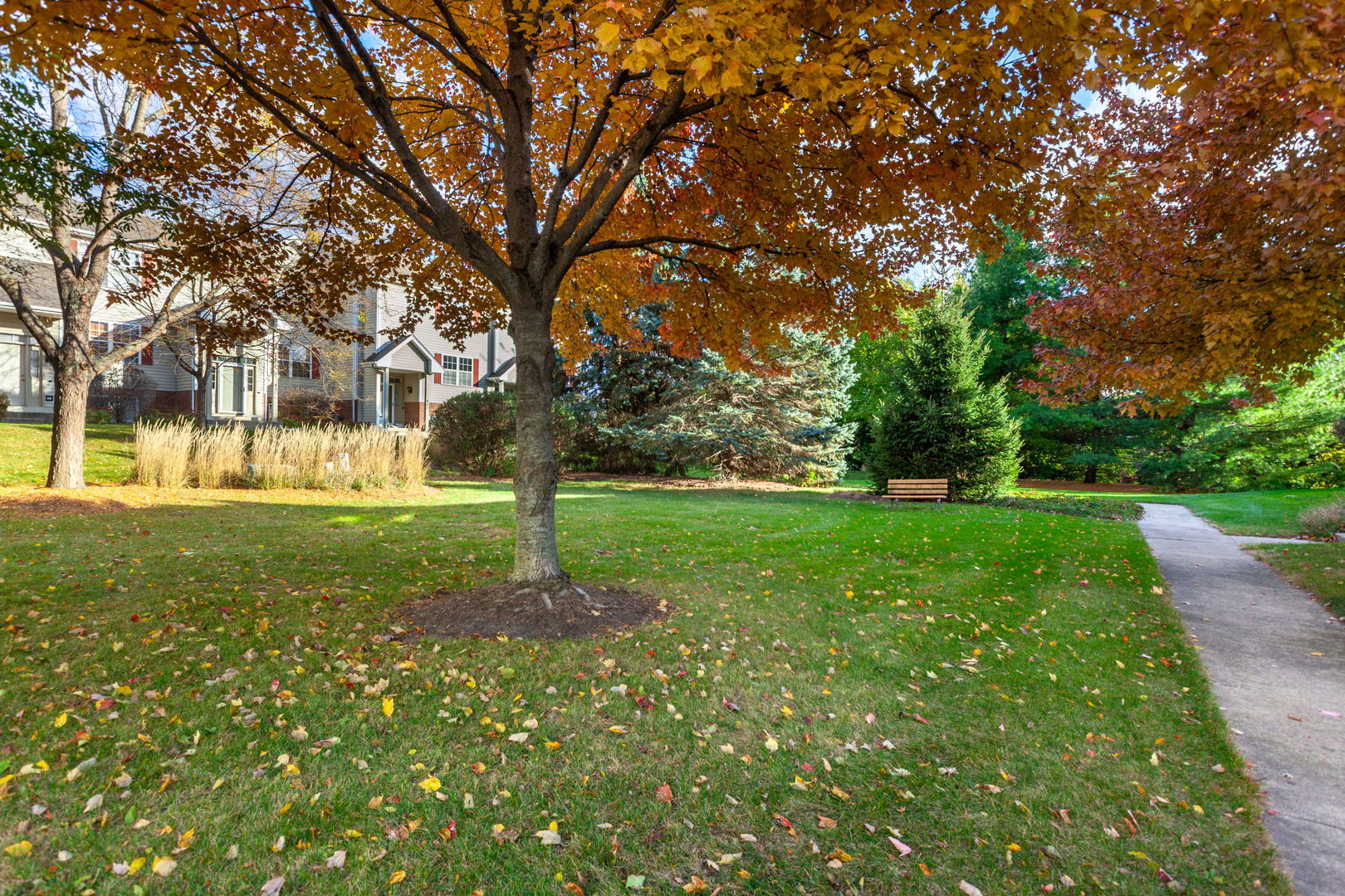 437 E Willow Street Unit: 437