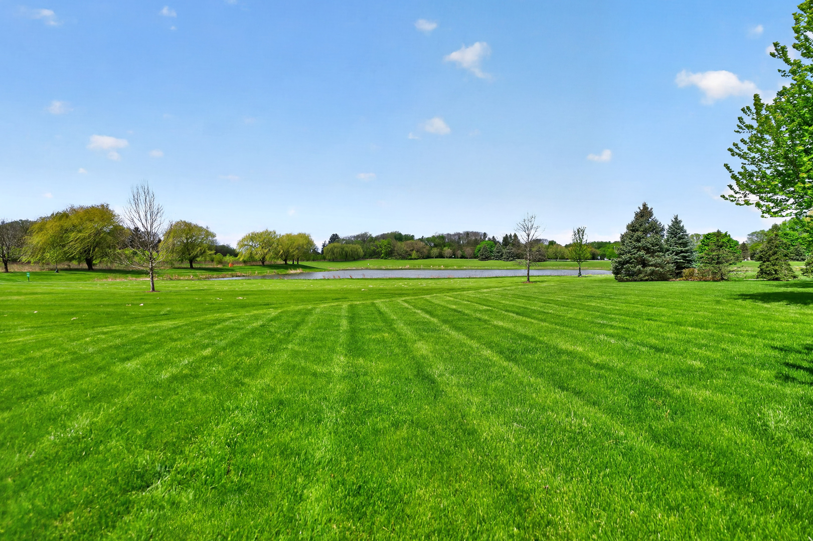 39W835 Goldenrod Drive